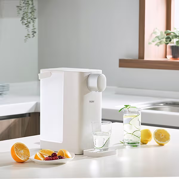 Haier 海爾 小海鷗瞬熱式飲水機 WD301